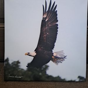 Eagle Canvas Wall Art